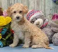 processed/1da4d162-1d91-403c-9c31-646e0d59e032/listing/aeaebaf3-c208-44e3-ad2e-ceba137219b0/9bf5d67f-2cbd-4d3a-a8ee-8ae1854a16ad