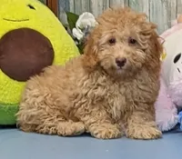 processed/1da4d162-1d91-403c-9c31-646e0d59e032/listing/b0af0685-3c26-443c-8358-5d4caf2839ae/1de89136-8ba1-4fa4-a81b-9d01b5beceab