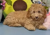 processed/1da4d162-1d91-403c-9c31-646e0d59e032/listing/b0af0685-3c26-443c-8358-5d4caf2839ae/351d560d-1db9-485b-9054-07499f982903