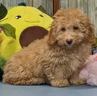 processed/1da4d162-1d91-403c-9c31-646e0d59e032/listing/b0af0685-3c26-443c-8358-5d4caf2839ae/87c4f18a-0853-4fbe-a557-d43aab78f592