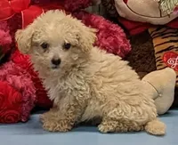 processed/1da4d162-1d91-403c-9c31-646e0d59e032/listing/c7461e30-494d-467a-8ab5-536dc16c0581/9c942fd1-a813-415d-9bc1-1d65638a81e7