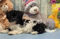 processed/1da4d162-1d91-403c-9c31-646e0d59e032/listing/dd9ec4a3-5311-4831-9e01-655f74d85759/11d89ee4-4c8a-4a57-a802-6a129b291321