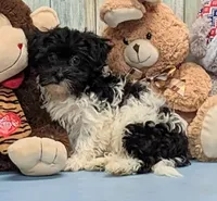 processed/1da4d162-1d91-403c-9c31-646e0d59e032/listing/dd9ec4a3-5311-4831-9e01-655f74d85759/a7e2465d-91f1-410d-8021-c8cf6fc063b4