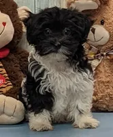 processed/1da4d162-1d91-403c-9c31-646e0d59e032/listing/dd9ec4a3-5311-4831-9e01-655f74d85759/c5a0b075-08a0-42db-8f18-afd104e57a33