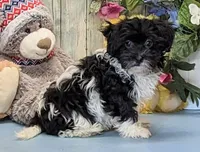 processed/1da4d162-1d91-403c-9c31-646e0d59e032/listing/dd9ec4a3-5311-4831-9e01-655f74d85759/edbd98f8-c027-4495-9c76-21379aebb82a