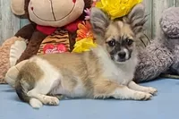 processed/1da4d162-1d91-403c-9c31-646e0d59e032/listing/f295a00d-d50c-4872-9319-b4531318128e/23d50b07-a55c-4e73-8ff2-ff8c922fa5e5