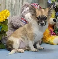 processed/1da4d162-1d91-403c-9c31-646e0d59e032/listing/f295a00d-d50c-4872-9319-b4531318128e/8e449cf0-2540-4509-9560-3d62e81f1d9d