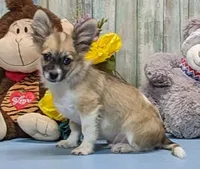 processed/1da4d162-1d91-403c-9c31-646e0d59e032/listing/f295a00d-d50c-4872-9319-b4531318128e/ba84590b-abd7-4397-9ff1-2f0edcfa1be4