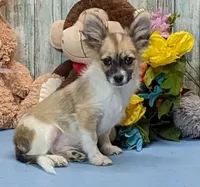 processed/1da4d162-1d91-403c-9c31-646e0d59e032/listing/f295a00d-d50c-4872-9319-b4531318128e/fc05b781-64ca-4870-91a7-84b985209faf