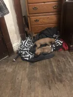 processed/1dc026b2-b9f3-4f10-be55-722281e3eded/facility/63a496fb-8176-46f9-98ac-5a78030c0296