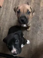 processed/1dc026b2-b9f3-4f10-be55-722281e3eded/facility/73c04bf2-e0e5-4688-8276-4e190b177e20