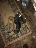 processed/1dc026b2-b9f3-4f10-be55-722281e3eded/facility/7c1174e3-b25c-4c13-b312-6ea5f5bab4df