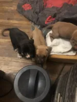 processed/1dc026b2-b9f3-4f10-be55-722281e3eded/facility/c7629d0b-3894-4028-b41d-59c138f297e1