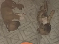 processed/1dc026b2-b9f3-4f10-be55-722281e3eded/facility/cc5f905d-fcfc-4a05-b06d-2b5e0ededbb3