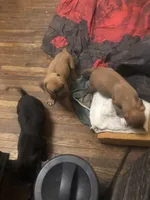 processed/1dc026b2-b9f3-4f10-be55-722281e3eded/facility/e2608b12-6bd3-4772-a445-8a7da3bb1b12