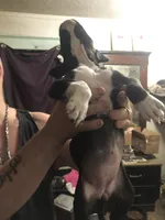 processed/1dc026b2-b9f3-4f10-be55-722281e3eded/listing/7c3e1292-6ee9-4c9a-b4e8-7ab99be825d8/07a96aba-dfc4-4dab-afa1-e43bf4715da1