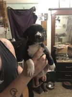 processed/1dc026b2-b9f3-4f10-be55-722281e3eded/listing/7c3e1292-6ee9-4c9a-b4e8-7ab99be825d8/1c893454-6eb0-4b00-81bf-feb6b8691a26