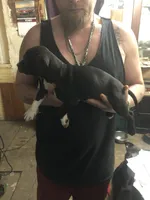 processed/1dc026b2-b9f3-4f10-be55-722281e3eded/listing/7c3e1292-6ee9-4c9a-b4e8-7ab99be825d8/204f9608-c8e4-4989-98be-83a94e8a4c0e