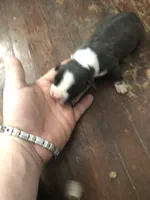 processed/1dc026b2-b9f3-4f10-be55-722281e3eded/listing/7c3e1292-6ee9-4c9a-b4e8-7ab99be825d8/2f016032-5627-4165-85d6-b99cd6c251fb