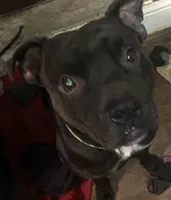 processed/1dc026b2-b9f3-4f10-be55-722281e3eded/listing/7c3e1292-6ee9-4c9a-b4e8-7ab99be825d8/96c6d931-c62c-4ff0-ba26-666db26b53b9