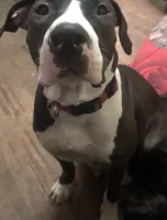 processed/1dc026b2-b9f3-4f10-be55-722281e3eded/listing/7c3e1292-6ee9-4c9a-b4e8-7ab99be825d8/a9128504-ec64-4ffc-9f64-e02e17f66844