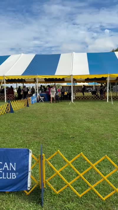 Facility video