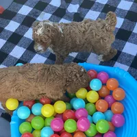 processed/1dd08666-720a-43e2-b099-ef534405821d/facility/1a0a94d1-0204-4c67-b48e-2f7e2f60c755