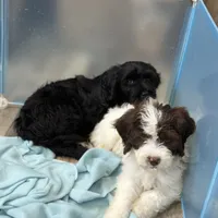 processed/1dd08666-720a-43e2-b099-ef534405821d/facility/558ae39e-b0f3-43ce-96a1-55f8e20f7f31