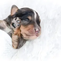 processed/1dd08666-720a-43e2-b099-ef534405821d/facility/77408f84-e2af-4e12-ac0d-83af68e00fe6