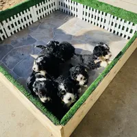 processed/1dd08666-720a-43e2-b099-ef534405821d/facility/7d794bf6-06d6-4e6a-9896-434d13c33f3e