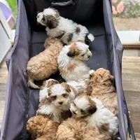 processed/1dd08666-720a-43e2-b099-ef534405821d/facility/bb2a8b50-c590-46a7-a4f3-9ef0a2d113d4