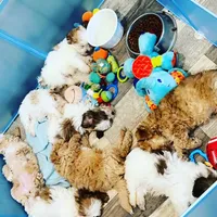 processed/1dd08666-720a-43e2-b099-ef534405821d/facility/c62eb5dd-d76d-4035-95ca-9970763f59c7