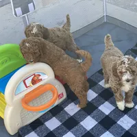 processed/1dd08666-720a-43e2-b099-ef534405821d/facility/e375a116-1d6a-45cf-bfa7-f89368271dcc