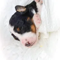 processed/1dd08666-720a-43e2-b099-ef534405821d/facility/ebccf2e7-63fa-4be9-9bdd-29093c958f84