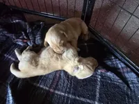 processed/1de5693d-ba05-4132-9b36-3d1317b79f8c/facility/8a5f50be-c04b-46b1-9a21-1d8d70cd0e8e