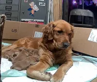 processed/1de5693d-ba05-4132-9b36-3d1317b79f8c/facility/c7120618-6d72-45c0-affd-dde354fb16d2