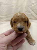 processed/1de77660-f3bd-4200-80ea-918fe0971af7/listing/068e36cb-d055-4f8e-aa9f-9a828e3745c9/26887fed-20af-48ee-86ec-321986786039