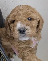 processed/1de77660-f3bd-4200-80ea-918fe0971af7/listing/068e36cb-d055-4f8e-aa9f-9a828e3745c9/a38d973b-4520-49c2-9c88-926935bf5d04