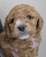 processed/1de77660-f3bd-4200-80ea-918fe0971af7/listing/068e36cb-d055-4f8e-aa9f-9a828e3745c9/cc6405ca-43aa-4839-be59-d255539561fc