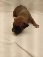 processed/1de77660-f3bd-4200-80ea-918fe0971af7/listing/1c50051f-7cb7-4937-9c05-cf88d844c732/3812ae71-b267-4e4a-8a70-45bd640fc71b