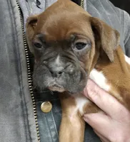 processed/1de77660-f3bd-4200-80ea-918fe0971af7/listing/1c50051f-7cb7-4937-9c05-cf88d844c732/90f2e507-ae82-4fc0-83ac-cb0eb75d7c7d