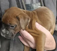 processed/1de77660-f3bd-4200-80ea-918fe0971af7/listing/1c50051f-7cb7-4937-9c05-cf88d844c732/b017ac52-425b-40a1-a864-8b6c29fd3151