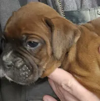 processed/1de77660-f3bd-4200-80ea-918fe0971af7/listing/1c50051f-7cb7-4937-9c05-cf88d844c732/d72797ca-35fc-4091-b4d2-742edc8b9dc3