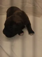 processed/1de77660-f3bd-4200-80ea-918fe0971af7/listing/27769788-ac2e-4892-aafe-f0b0a8885376/9e6c8f24-c5b9-4d05-af51-8d91fcf0f8d5