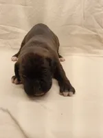 processed/1de77660-f3bd-4200-80ea-918fe0971af7/listing/27769788-ac2e-4892-aafe-f0b0a8885376/b10efa91-ec76-43c3-8d13-7c403aba5c50