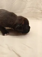 processed/1de77660-f3bd-4200-80ea-918fe0971af7/listing/27769788-ac2e-4892-aafe-f0b0a8885376/b29caa67-9bf9-4df7-a9a4-07be38ce4732