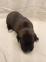 processed/1de77660-f3bd-4200-80ea-918fe0971af7/listing/27769788-ac2e-4892-aafe-f0b0a8885376/c8324299-0154-49a9-855b-86403e1219b1