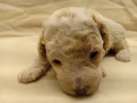 processed/1de77660-f3bd-4200-80ea-918fe0971af7/listing/2d4d7ea4-3109-4c87-b868-4a247e768cef/78bd8a72-e732-41c1-bea6-aeae9140ee3e