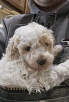 processed/1de77660-f3bd-4200-80ea-918fe0971af7/listing/2d4d7ea4-3109-4c87-b868-4a247e768cef/88ca928d-32d6-42ef-a3ca-1c08ee486ec6