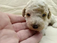 processed/1de77660-f3bd-4200-80ea-918fe0971af7/listing/2d4d7ea4-3109-4c87-b868-4a247e768cef/abc186b0-bc7b-4019-bdce-0e5137cc7bf4